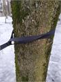 Стропы Rebel Gears для быстрой установки гамака 2 метра черные strop/2m