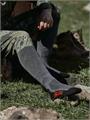 Носки Sina Dry Wool шерстяные серые 14.10SOMDGR5